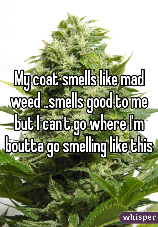 My coat smells like mad weed ..smells good to me but I can't go where I'm boutta go smelling like this 