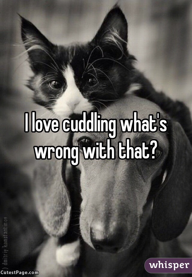 I love cuddling what's wrong with that?