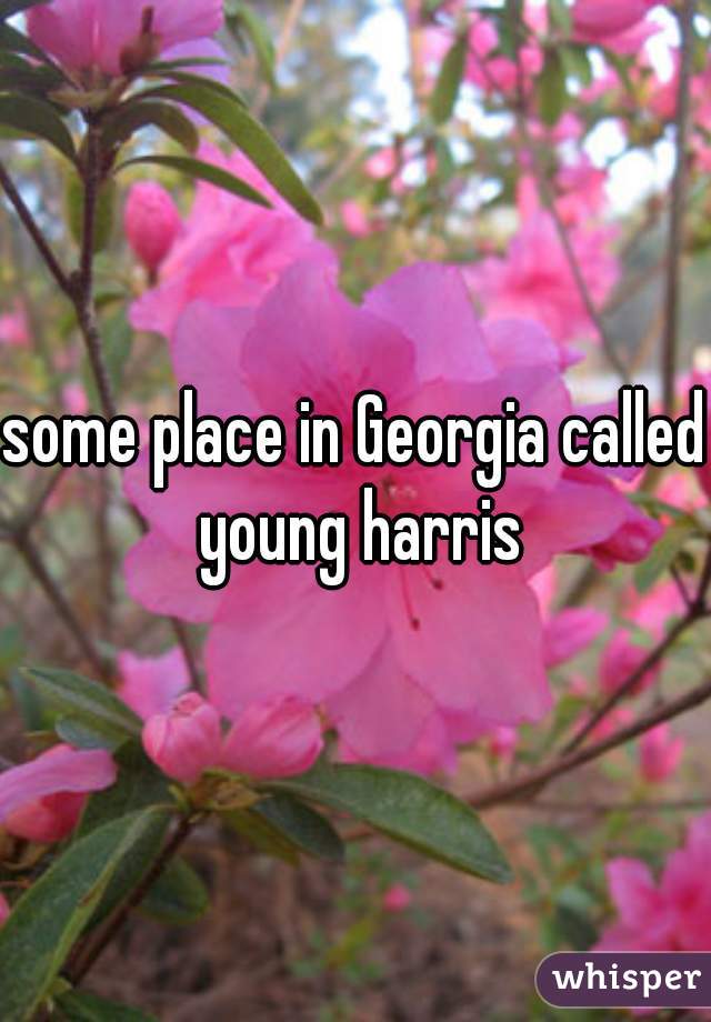 some place in Georgia called young harris