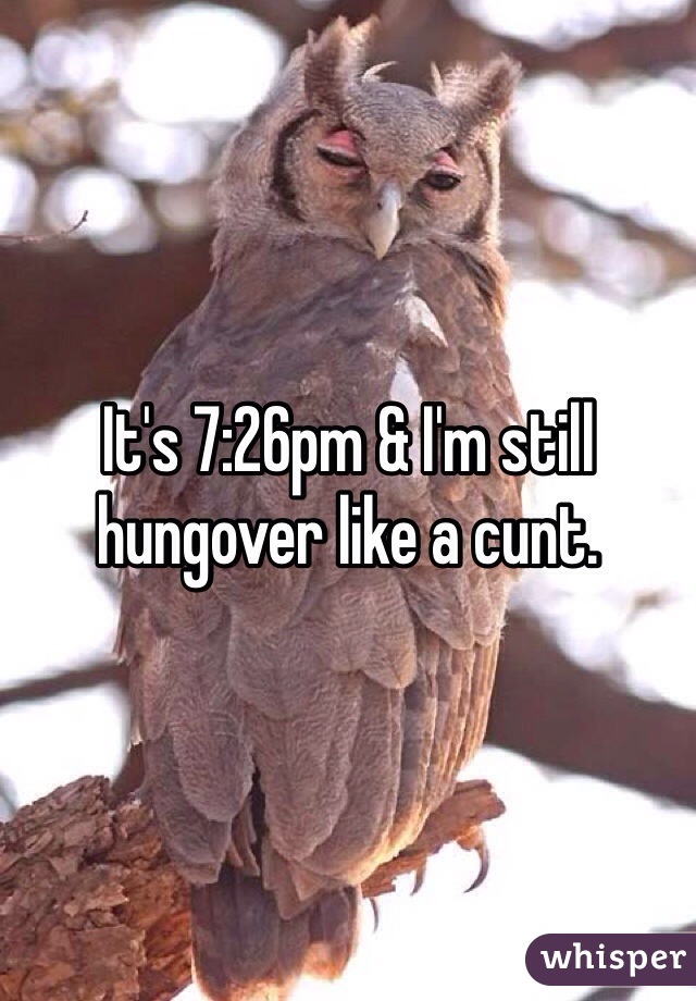 It's 7:26pm & I'm still hungover like a cunt.