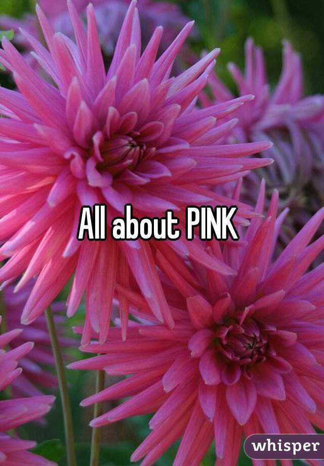 All about PINK 
