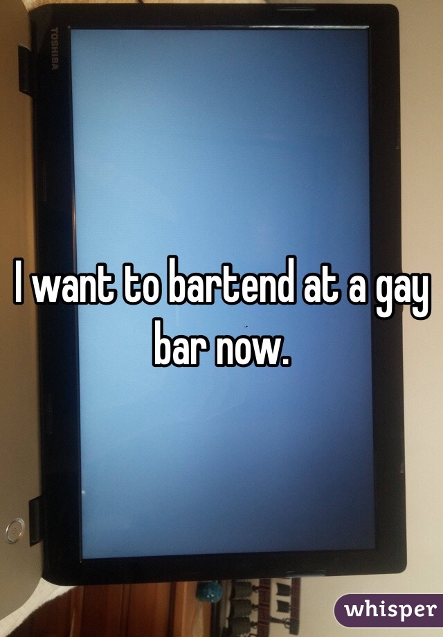 I want to bartend at a gay bar now.