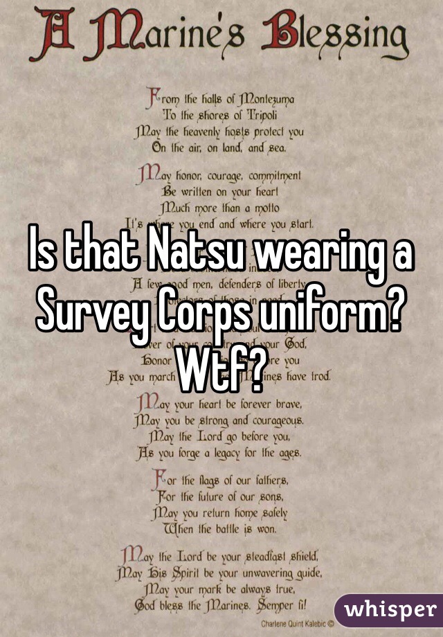 Is that Natsu wearing a Survey Corps uniform? Wtf?