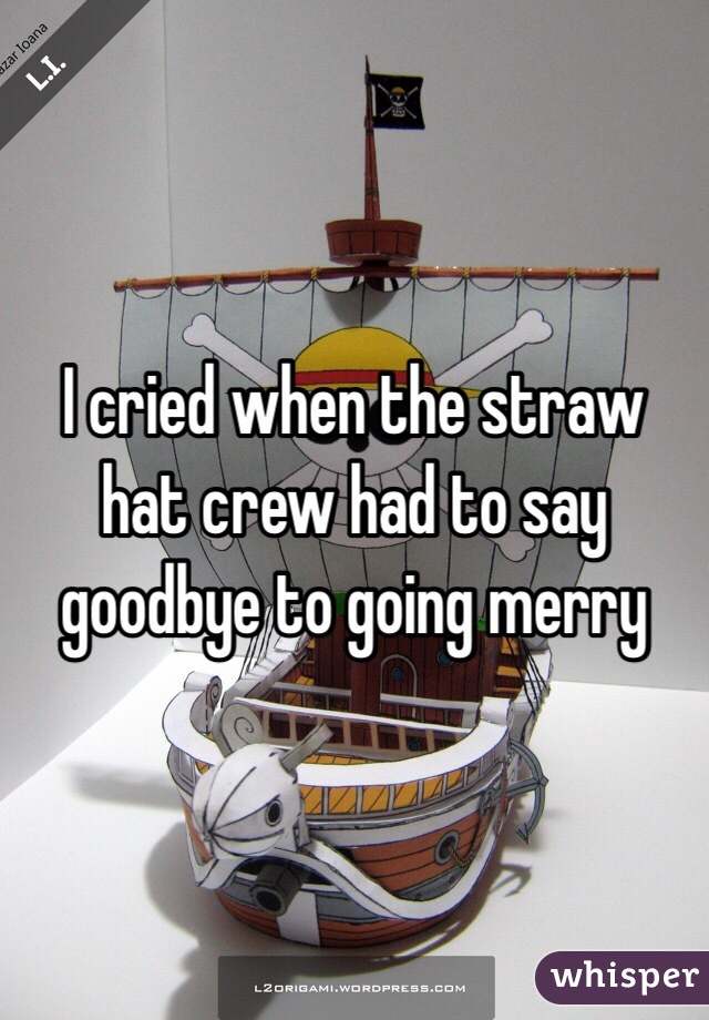 I cried when the straw hat crew had to say goodbye to going merry