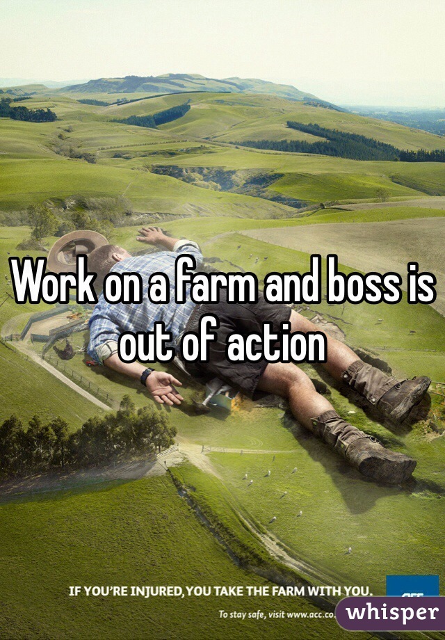 Work on a farm and boss is out of action 