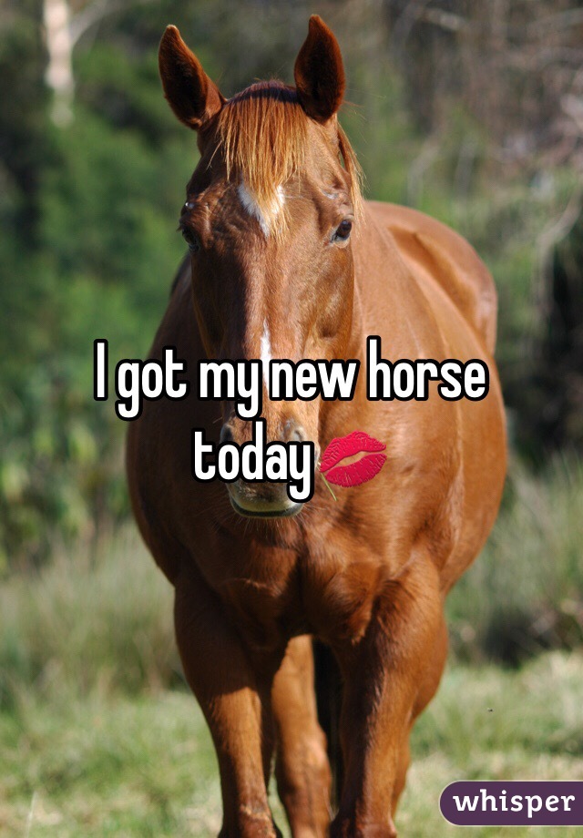I got my new horse today💋
