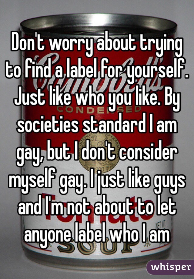 Don't worry about trying to find a label for yourself. Just like who you like. By societies standard I am gay, but I don't consider myself gay. I just like guys and I'm not about to let anyone label who I am 