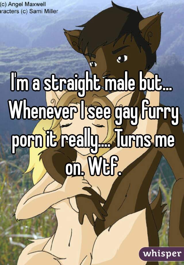 I'm a straight male but... Whenever I see gay furry porn it really.... Turns me on. Wtf.