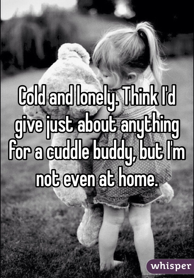 Cold and lonely. Think I'd give just about anything for a cuddle buddy, but I'm not even at home. 
