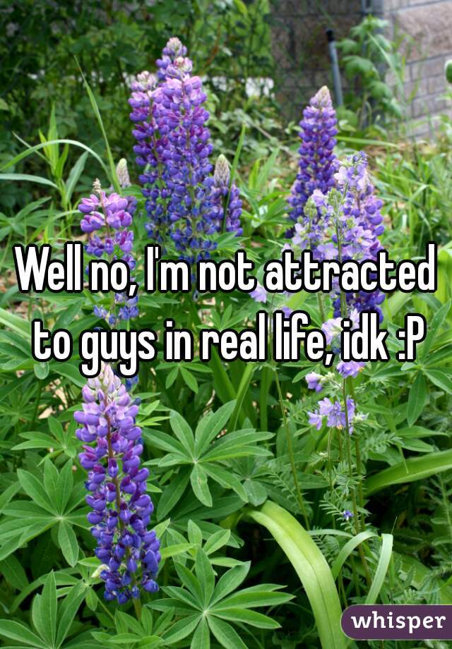 Well no, I'm not attracted to guys in real life, idk :P