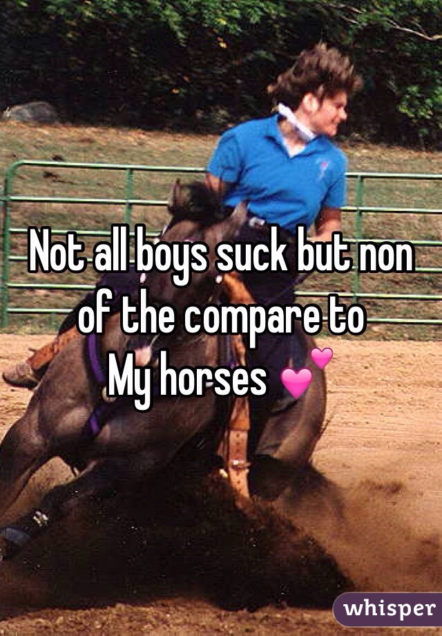 Not all boys suck but non of the compare to
My horses 💕
