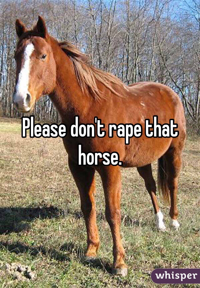Please don't rape that horse.