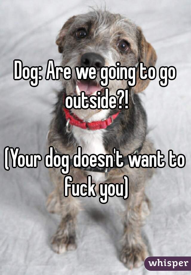 Dog: Are we going to go outside?!

(Your dog doesn't want to fuck you)