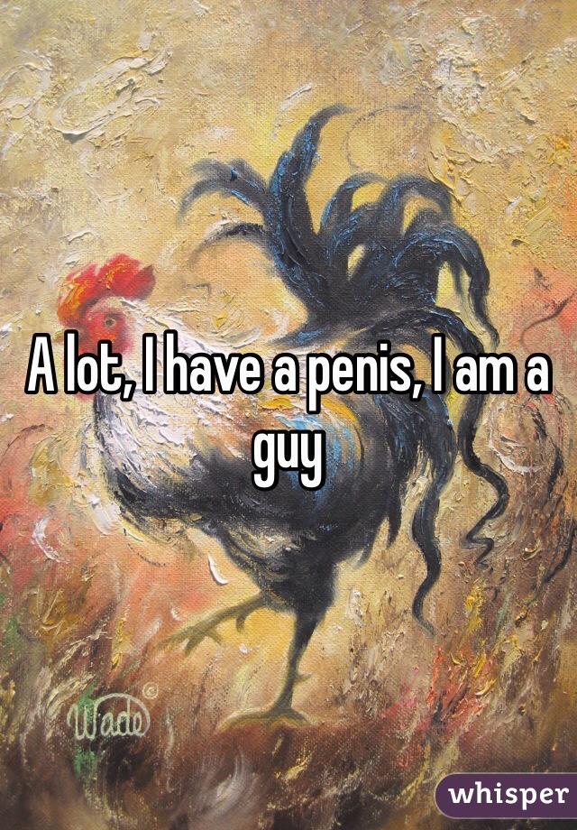 A lot, I have a penis, I am a guy 