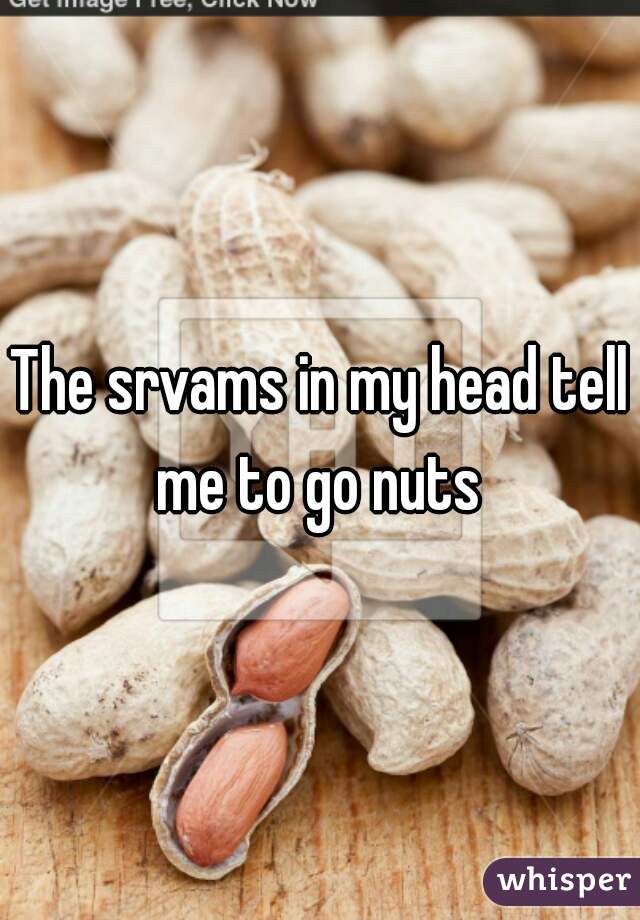 The srvams in my head tell me to go nuts 