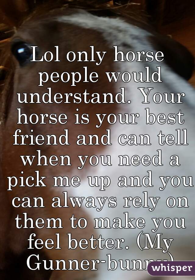 Lol only horse people would understand. Your horse is your best friend and can tell when you need a pick me up and you can always rely on them to make you feel better. (My Gunner-bunny)
