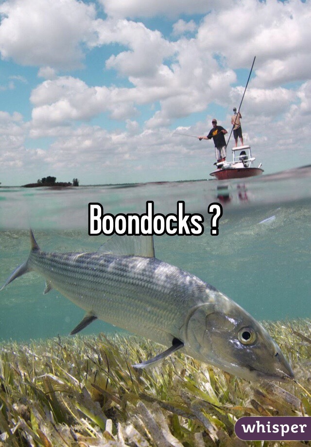 Boondocks ?