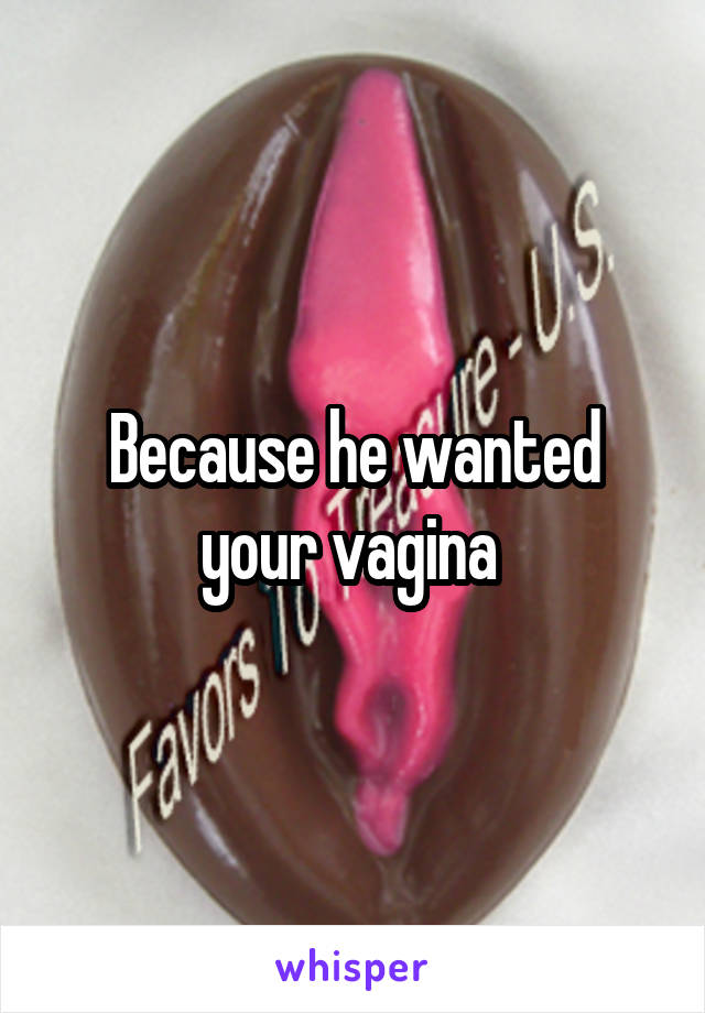 Because he wanted your vagina 