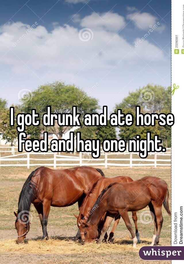 I got drunk and ate horse feed and hay one night. 