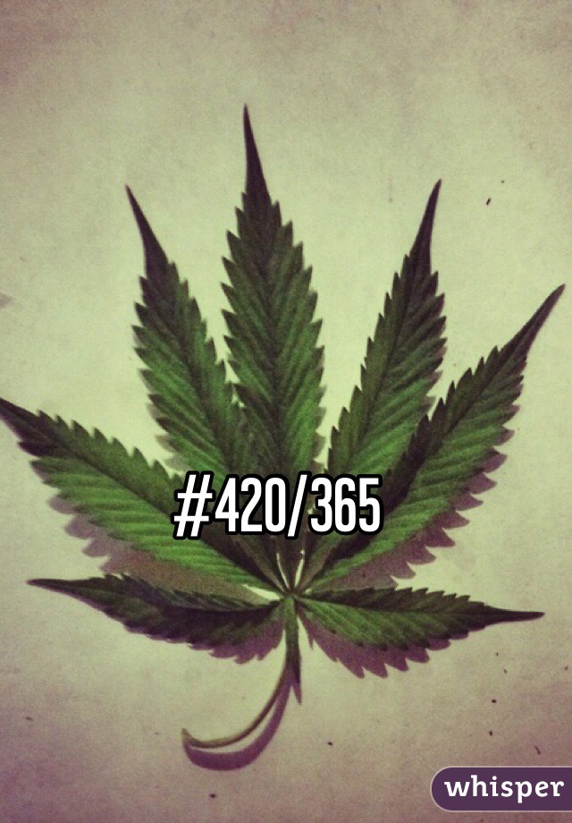 #420/365 