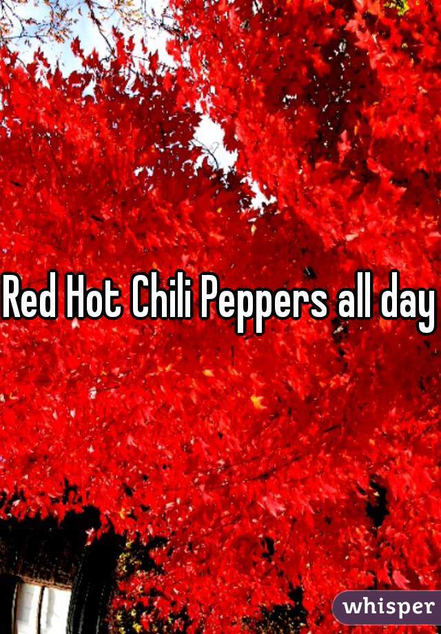 Red Hot Chili Peppers all day