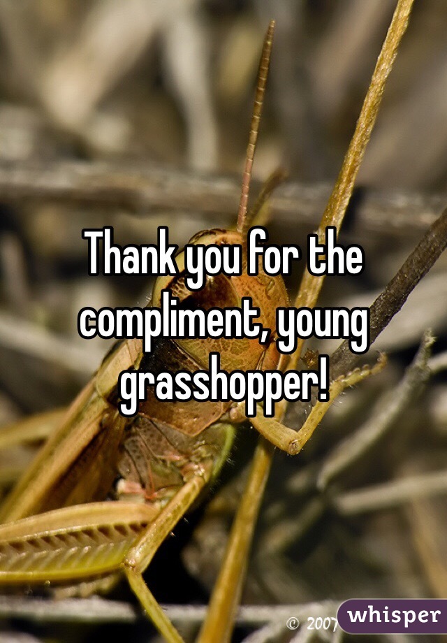 Thank you for the compliment, young grasshopper! 
