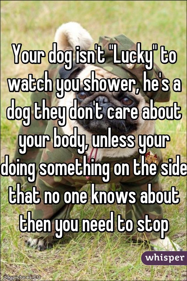 Your dog isn't "Lucky" to watch you shower, he's a dog they don't care about your body, unless your doing something on the side that no one knows about then you need to stop