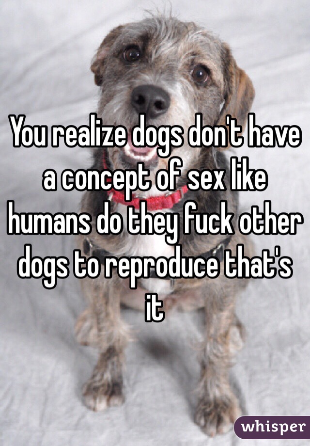 You realize dogs don't have a concept of sex like humans do they fuck other dogs to reproduce that's it