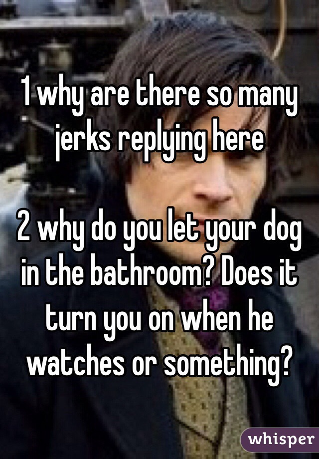 1 why are there so many jerks replying here

2 why do you let your dog in the bathroom? Does it turn you on when he watches or something?