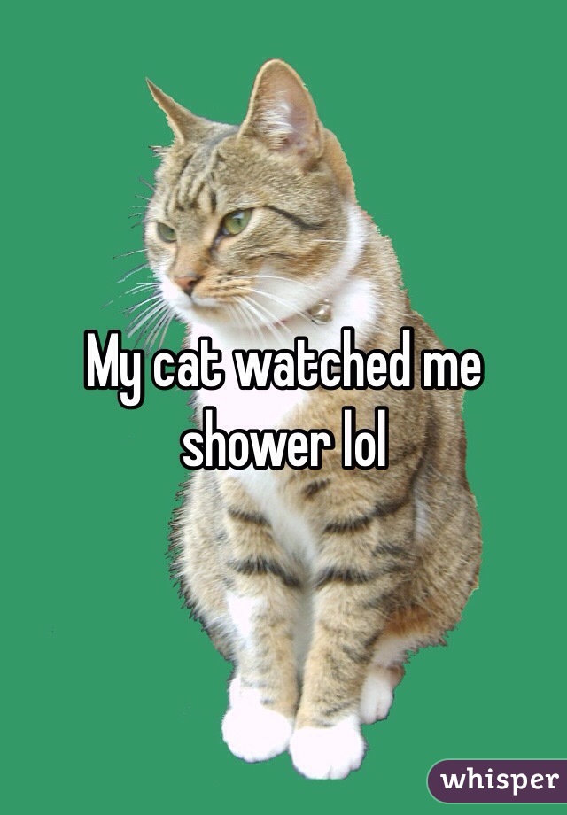 My cat watched me shower lol