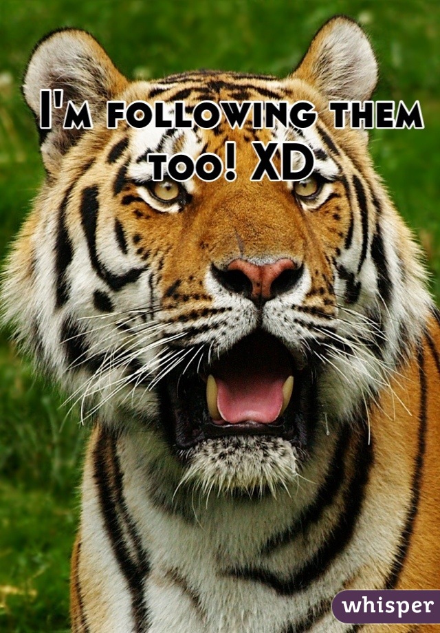 I'm following them too! XD