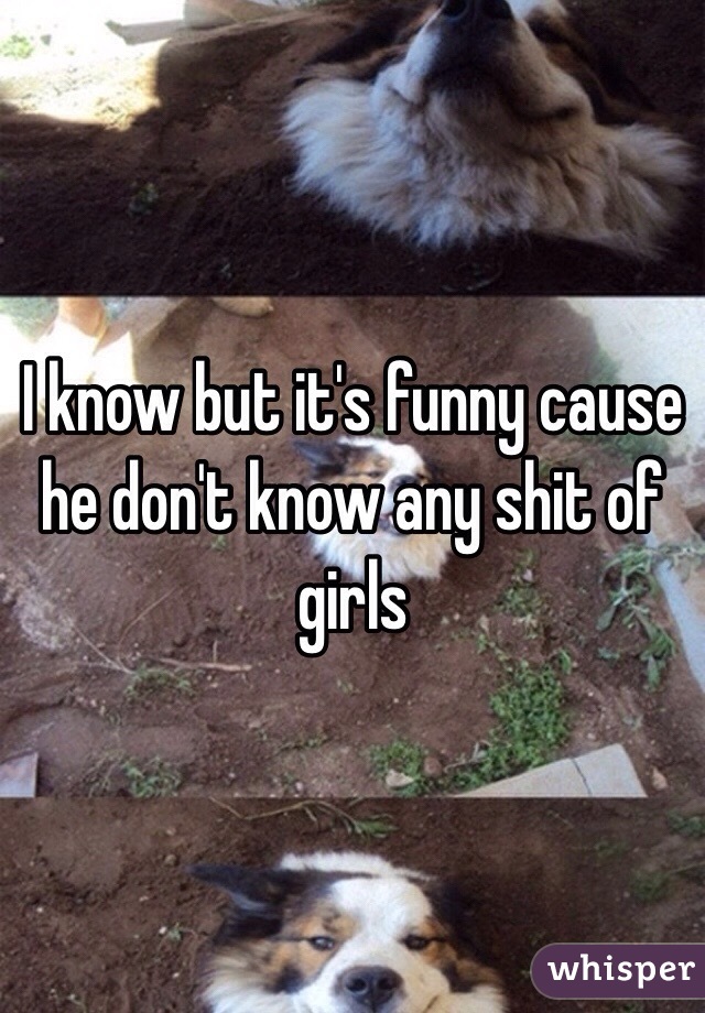 I know but it's funny cause he don't know any shit of girls