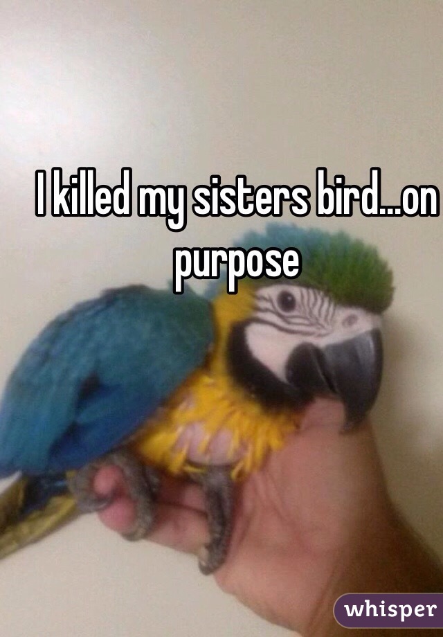 I killed my sisters bird...on purpose
