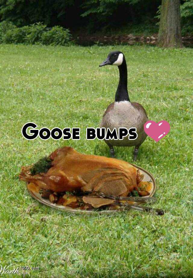 Goose Bumps 💜