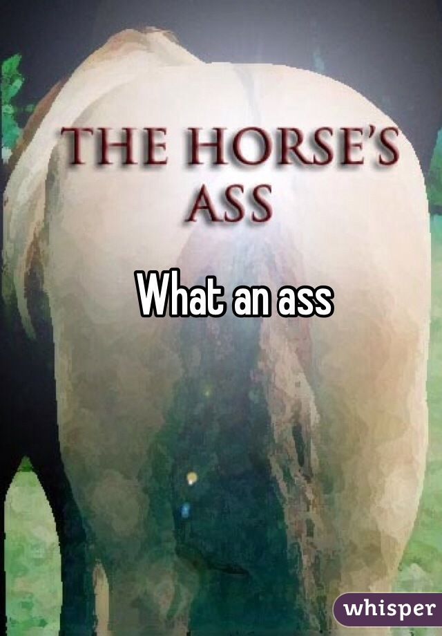 What an ass