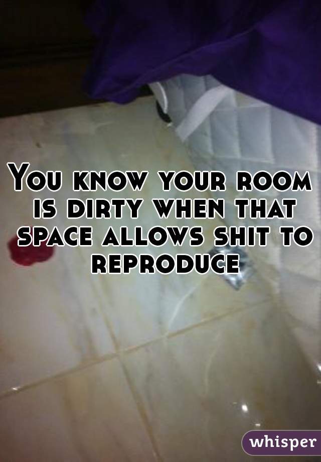 You know your room is dirty when that space allows shit to reproduce