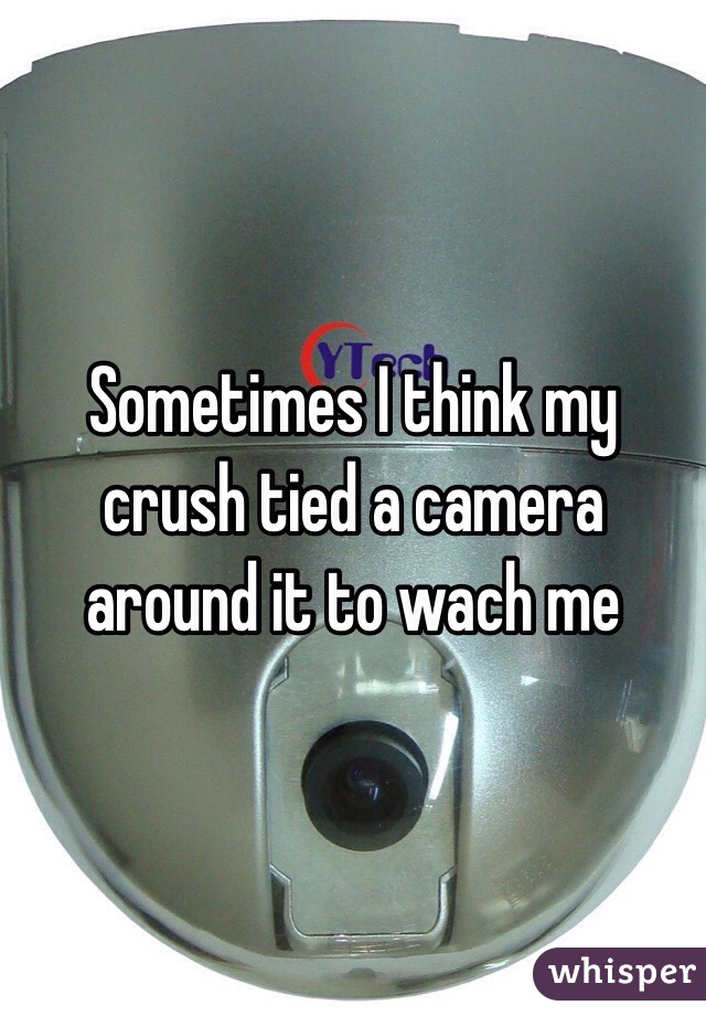 Sometimes I think my crush tied a camera around it to wach me
