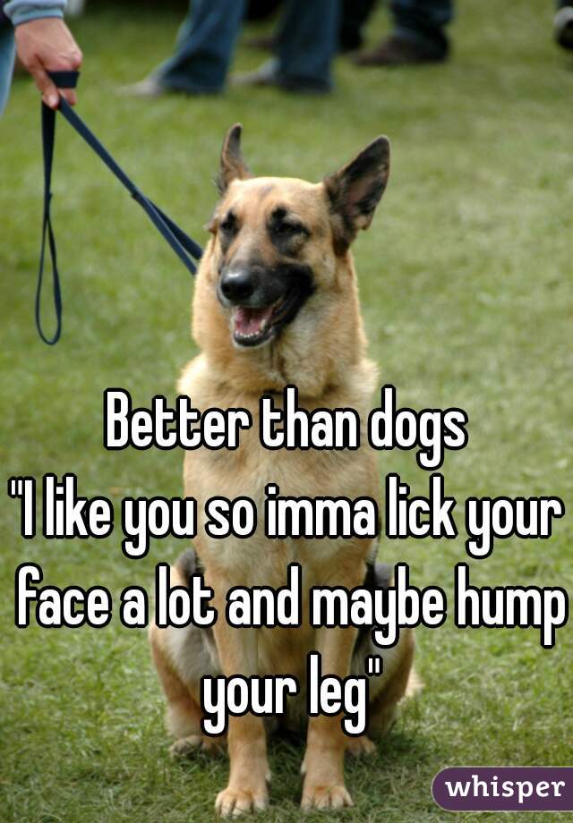 Better than dogs
"I like you so imma lick your face a lot and maybe hump your leg"