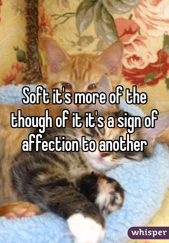 Soft it's more of the though of it it's a sign of affection to another 