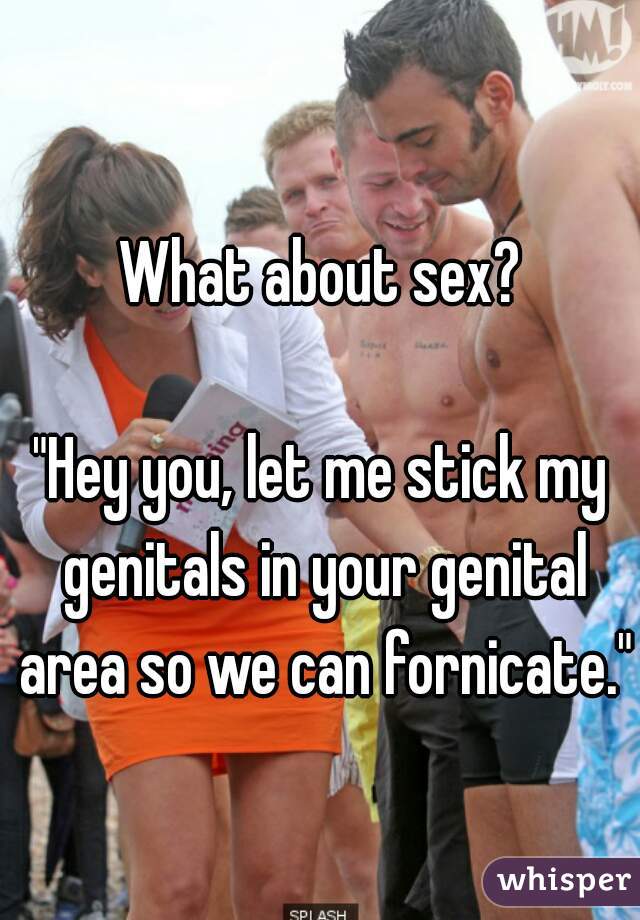 What about sex?

"Hey you, let me stick my genitals in your genital area so we can fornicate."