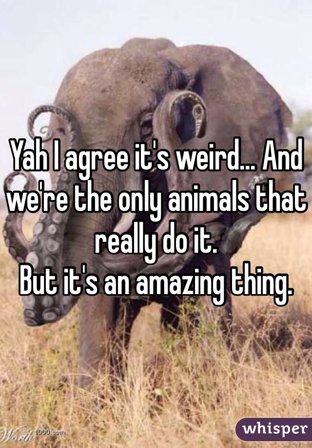 Yah I agree it's weird... And we're the only animals that really do it.
But it's an amazing thing.