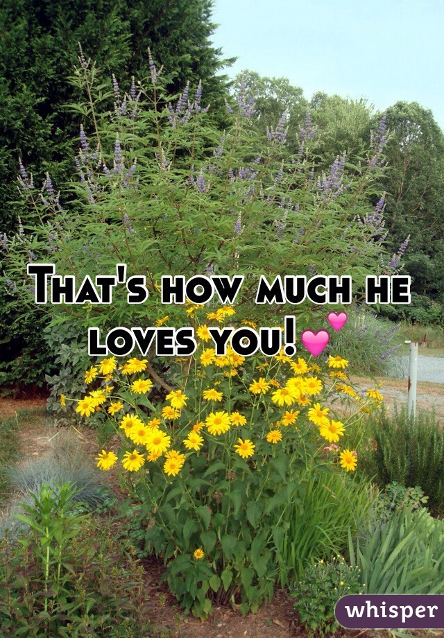 That's how much he loves you!💕