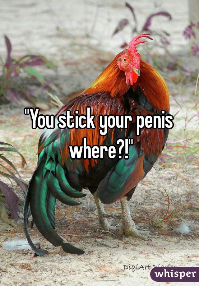 "You stick your penis where?!"