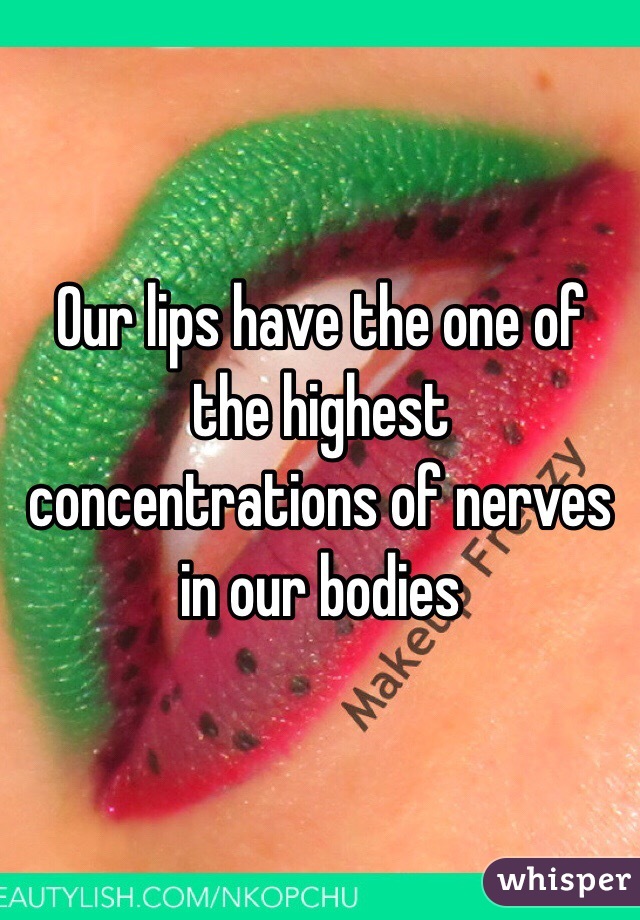 Our lips have the one of the highest concentrations of nerves in our bodies