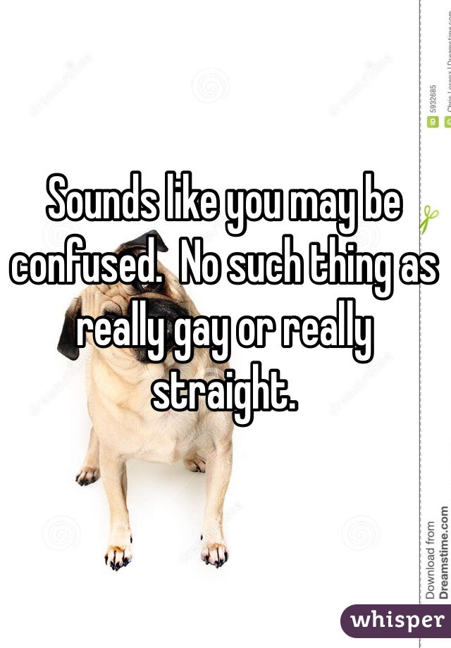 Sounds like you may be confused.  No such thing as really gay or really straight.

