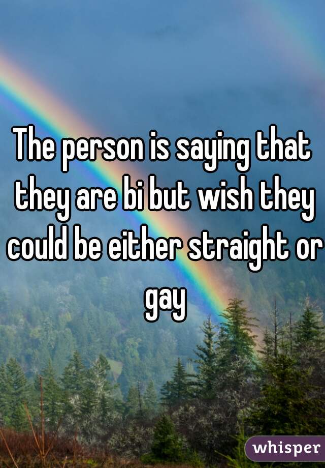 The person is saying that they are bi but wish they could be either straight or gay