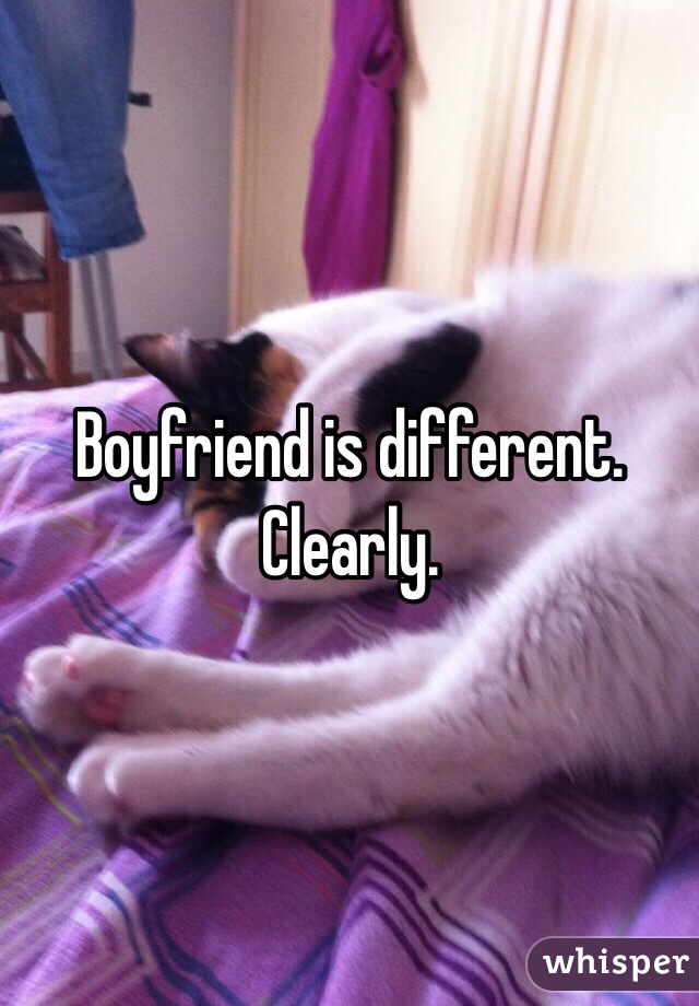 Boyfriend is different. Clearly. 