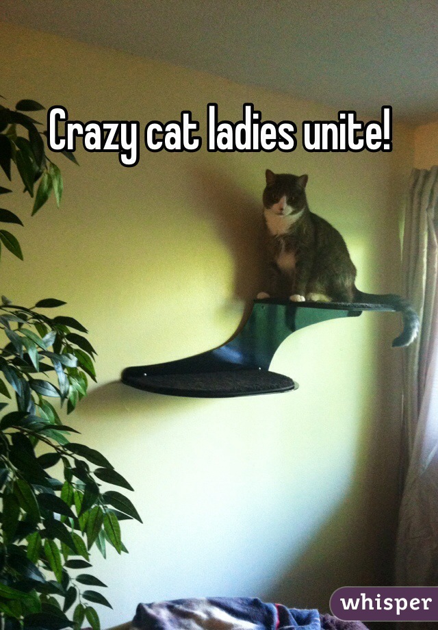 Crazy cat ladies unite!