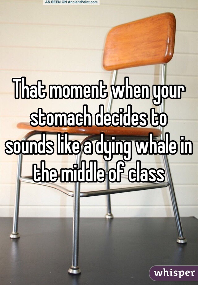 That moment when your stomach decides to sounds like a dying whale in the middle of class