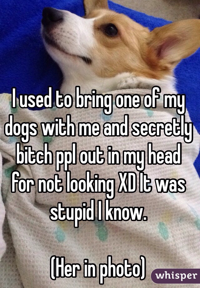 I used to bring one of my dogs with me and secretly bitch ppl out in my head for not looking XD It was stupid I know. 

(Her in photo)